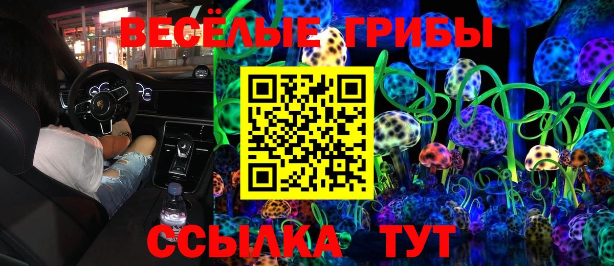 Галлюциногенные грибы GOLDEN TEACHER  Галлюциногенные грибы GOLDEN TEACHER  Гай  Вход с VPN 